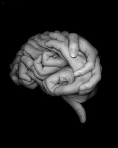 Brain made of hands